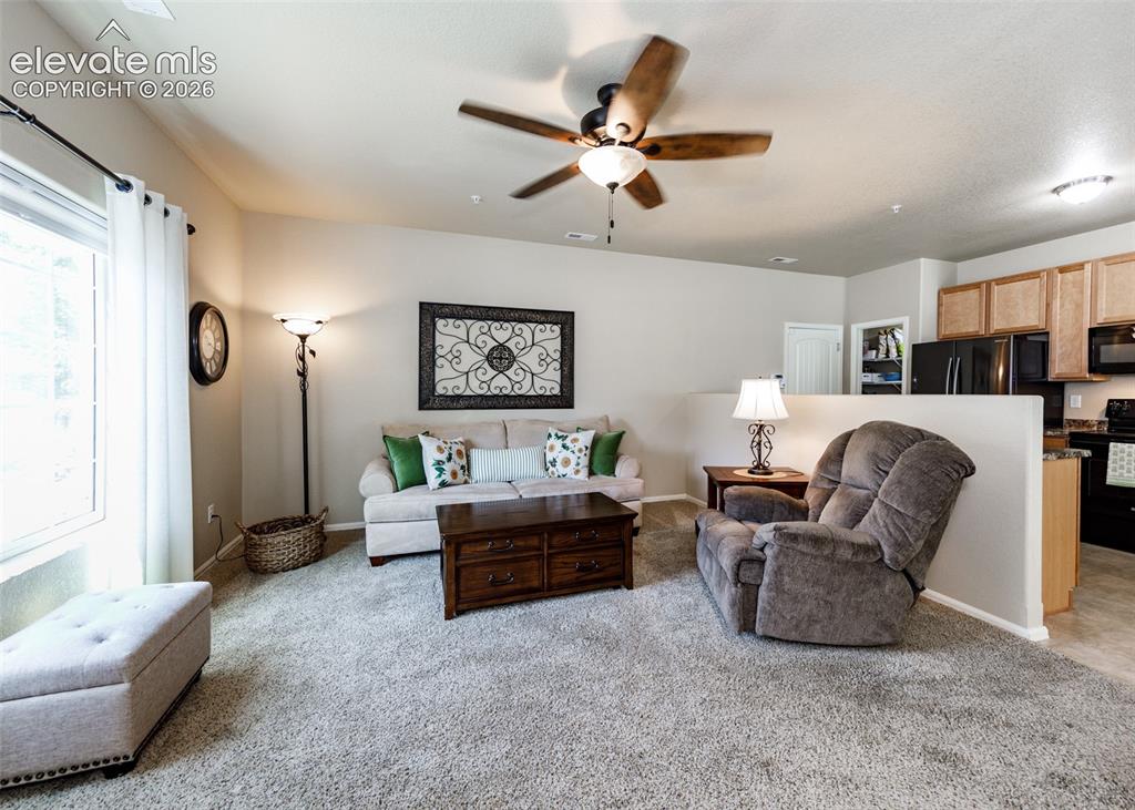 4860 Kerry Lynn View Colorado Springs CO 80922