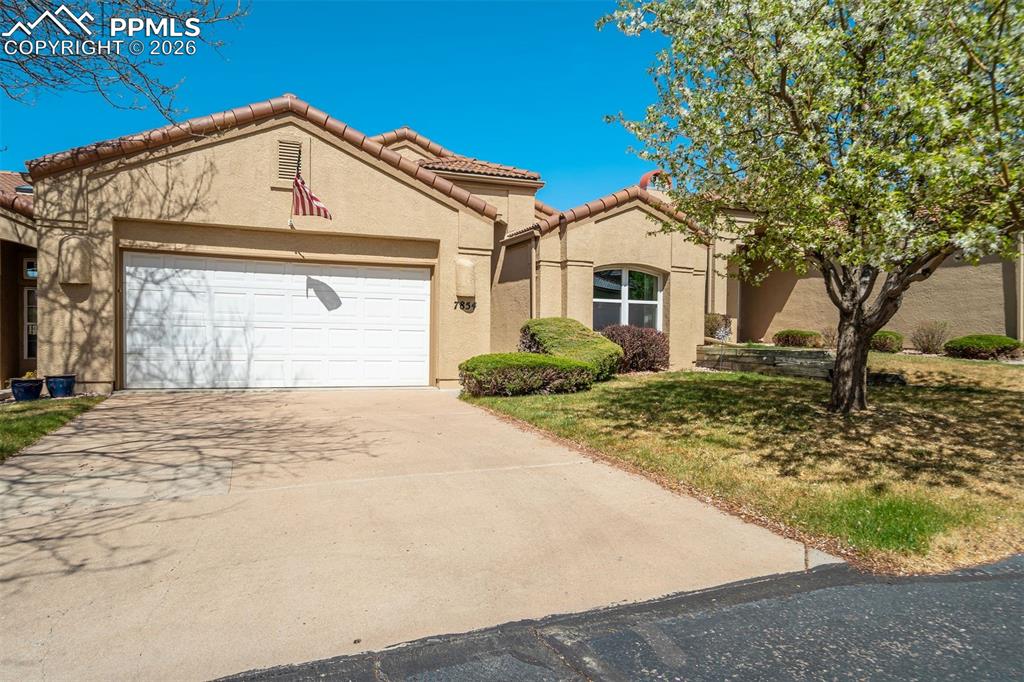 7854 Antigua Point Colorado Springs CO 80920