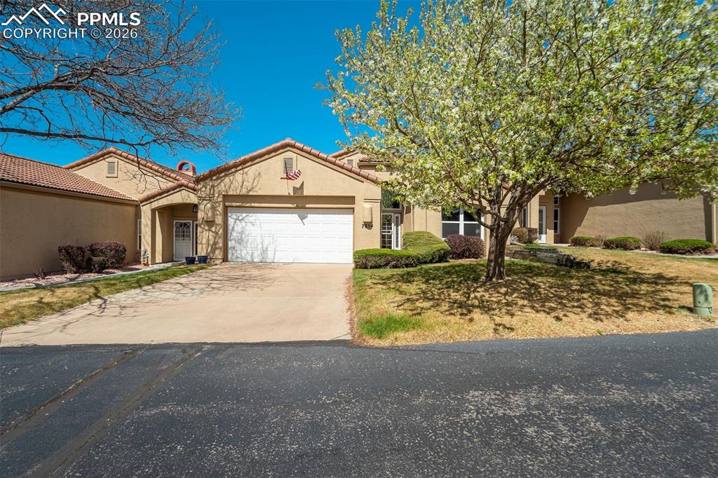 7854 Antigua Point Colorado Springs CO 80920