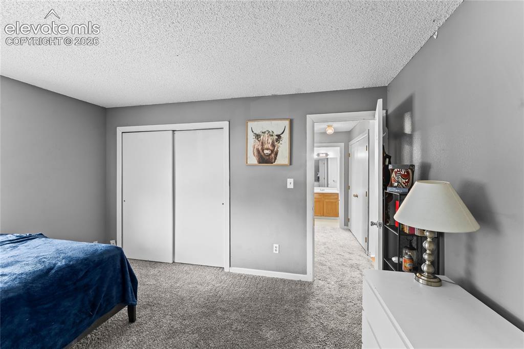 4323 Hawks Lookout Lane Colorado Springs CO 80916