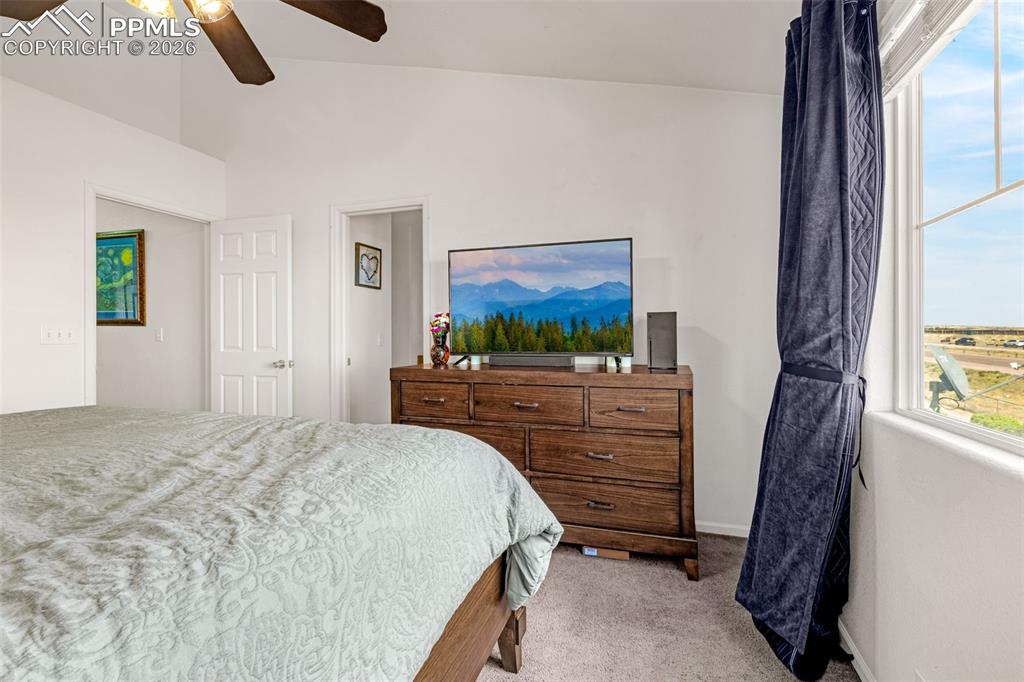 1649 Reilly Grove Colorado Springs CO 80951