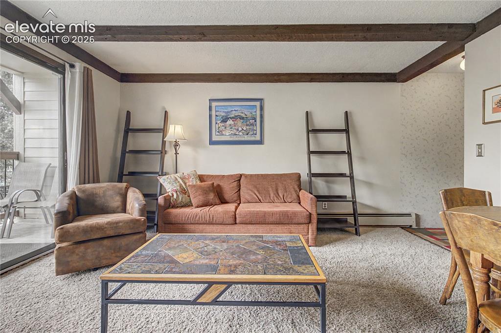 107 Harris Street Breckenridge CO 80424