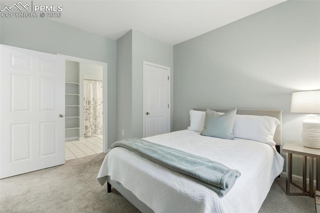 1464 Bergen Rock Street Castle Rock CO 80109