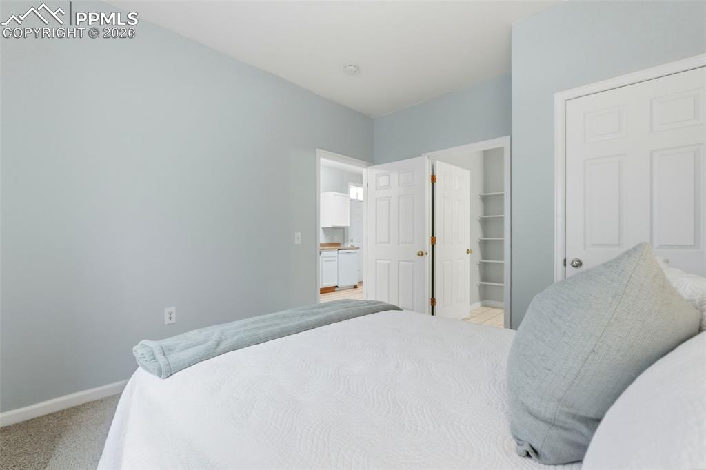1464 Bergen Rock Street Castle Rock CO 80109