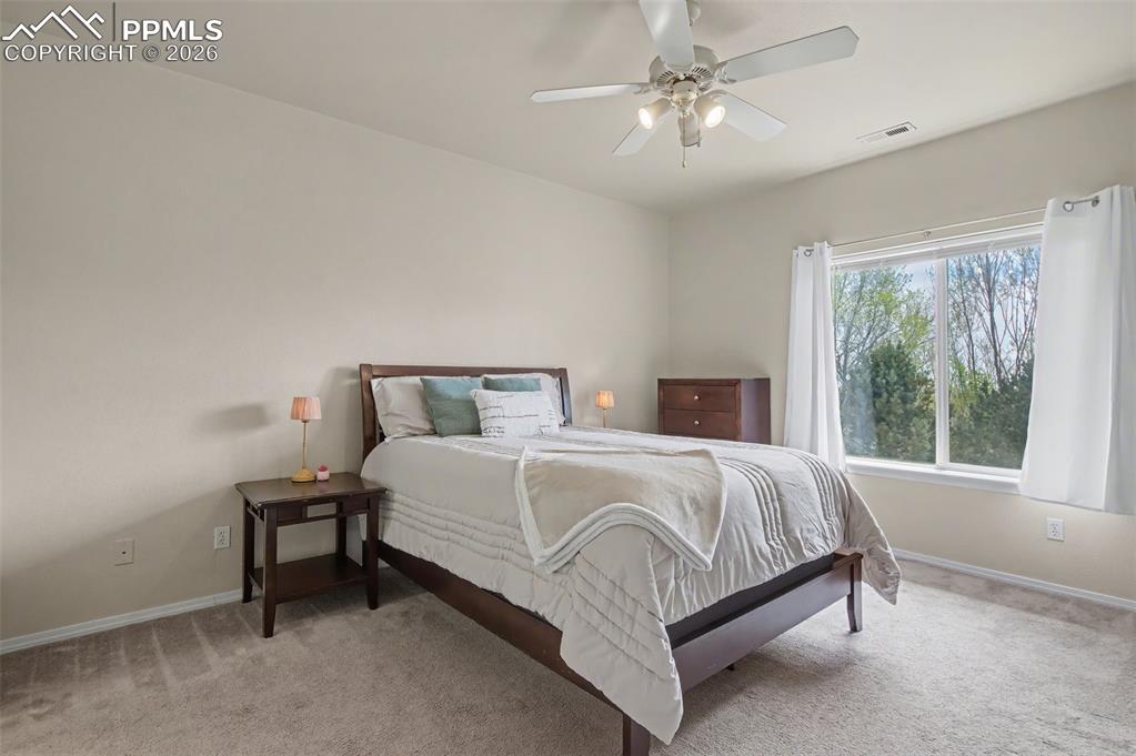 3040 Mandalay Grove Colorado Springs CO 80917