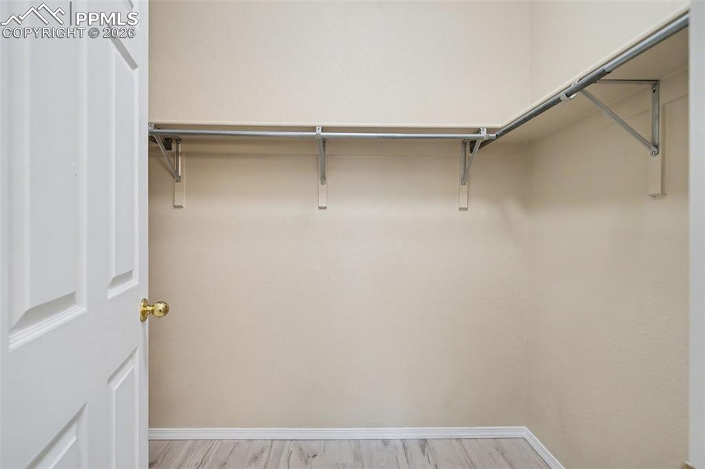 3040 Mandalay Grove Colorado Springs CO 80917