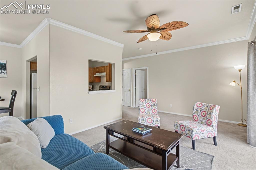 3040 Mandalay Grove Colorado Springs CO 80917
