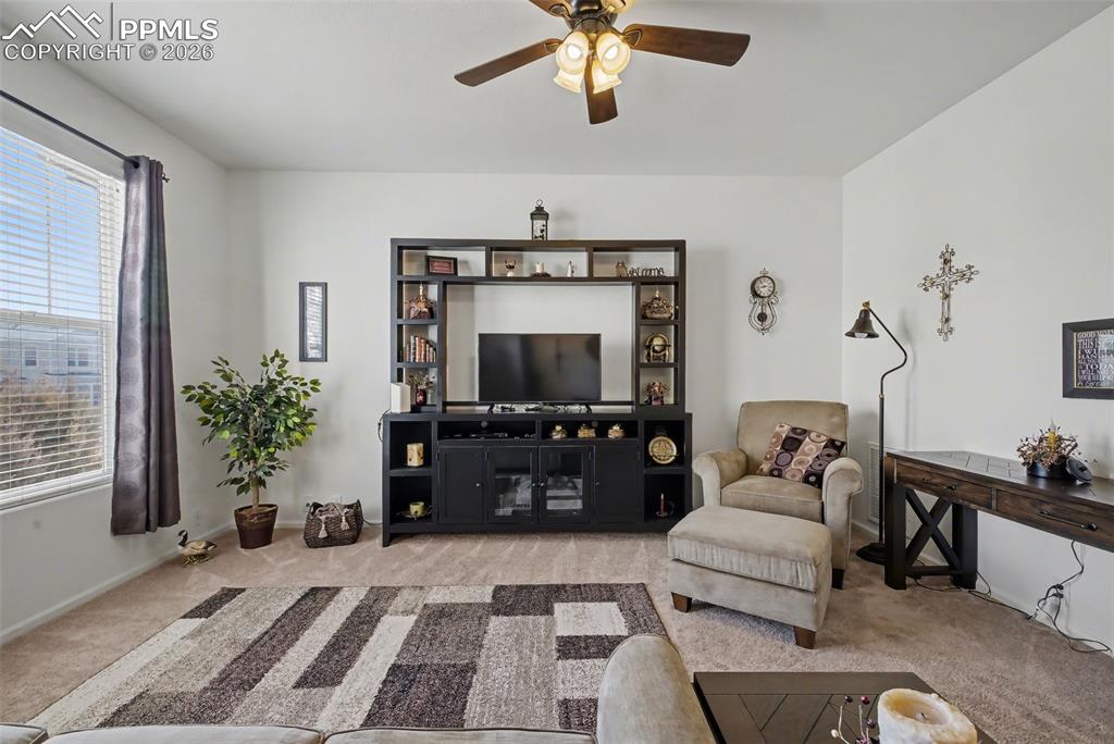 6221 Sierra Grande Point Colorado Springs CO 80923