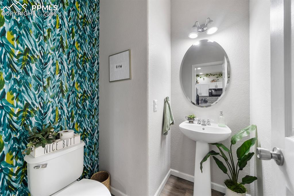 7375 Sandy Springs Point Fountain CO 80817
