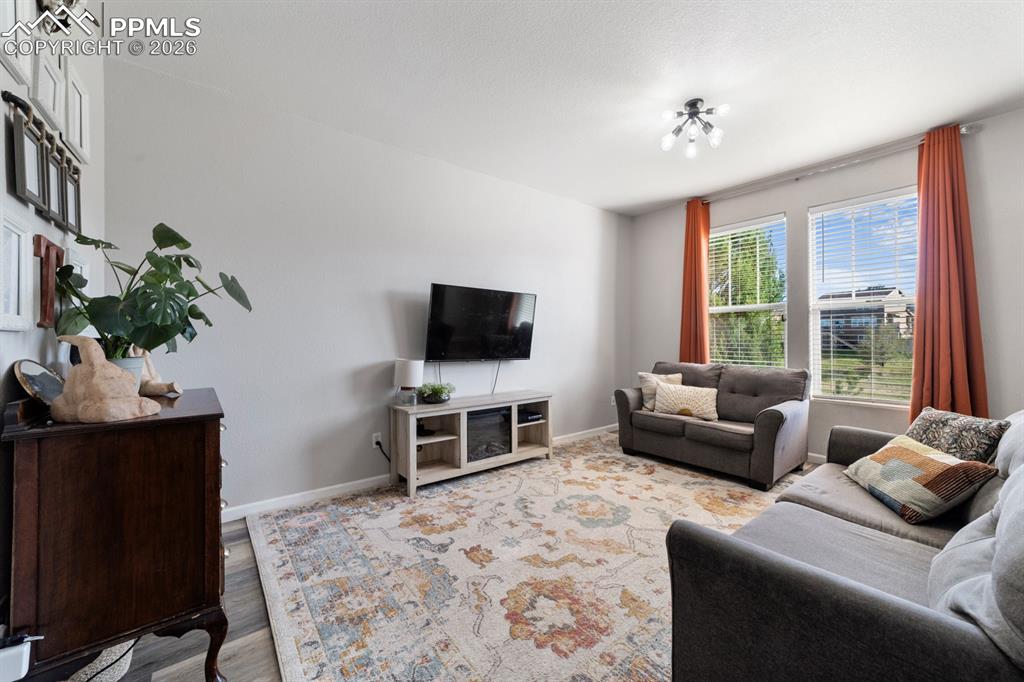 7375 Sandy Springs Point Fountain CO 80817