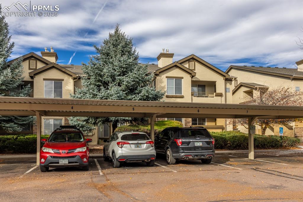 3731 Riviera Grove Colorado Springs CO 80922