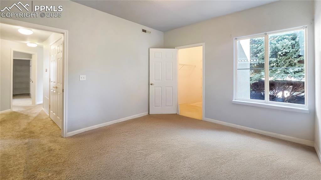 3731 Riviera Grove Colorado Springs CO 80922