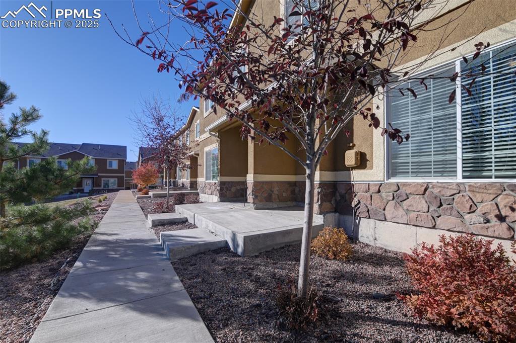 7557 Black Spruce Heights Colorado Springs CO 80908