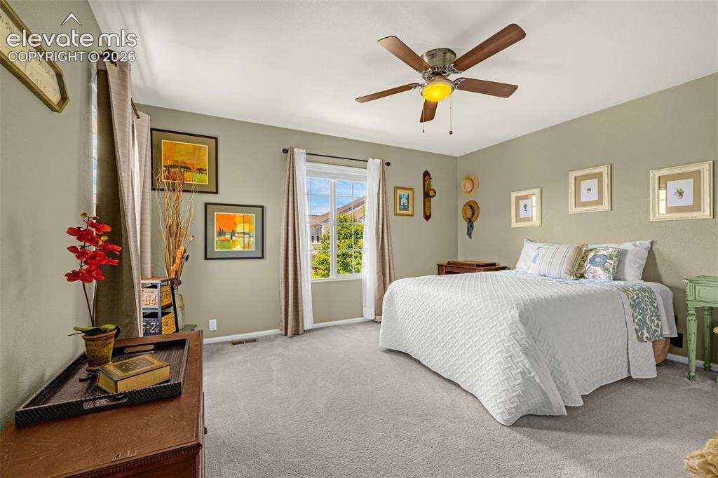 6338 Sand Bar Point Colorado Springs CO 80923
