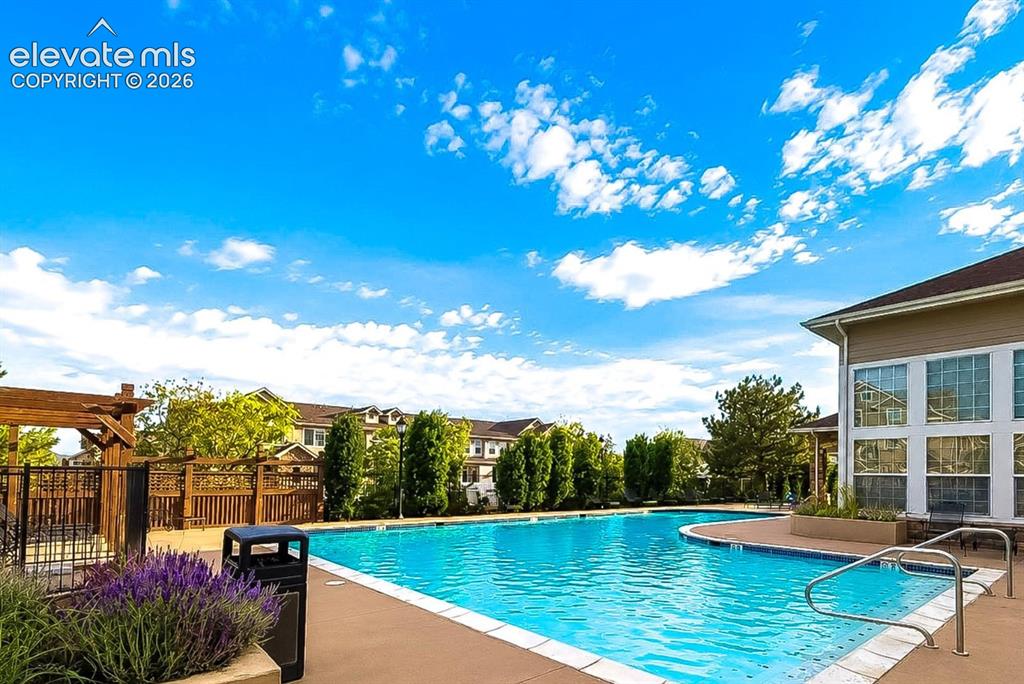494 Black Feather Loop Castle Rock CO 80104