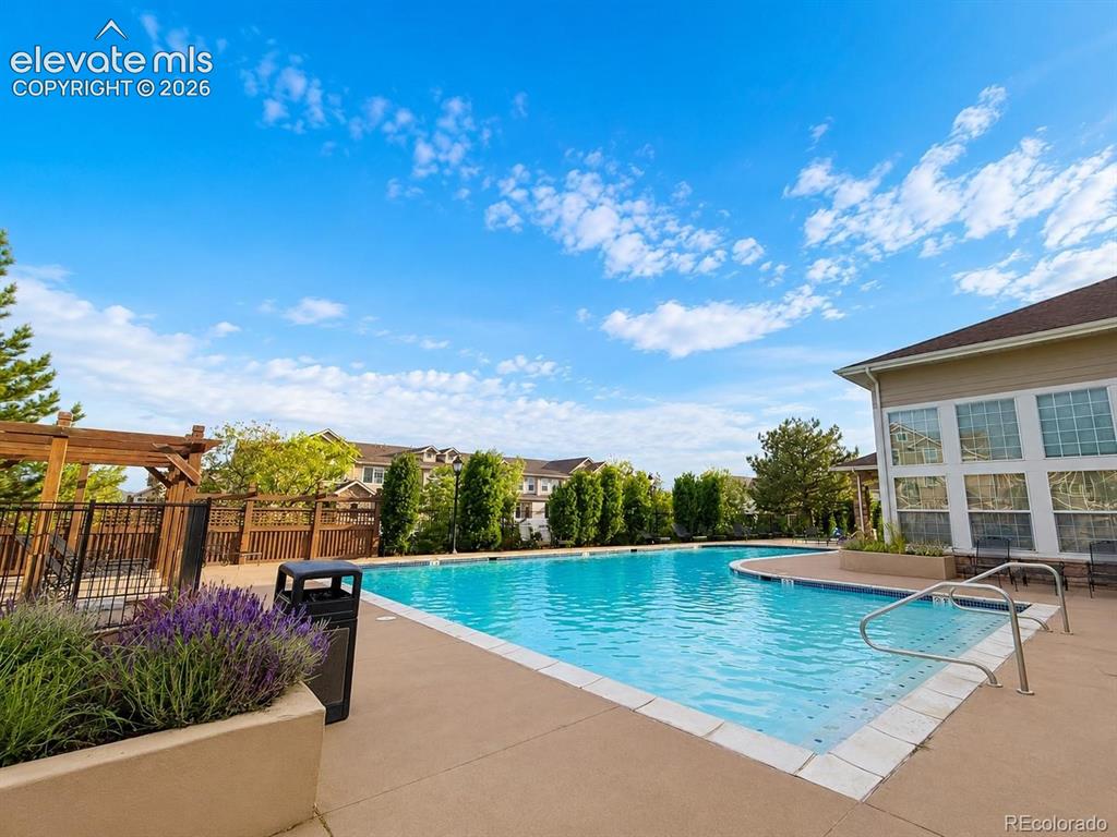 494 Black Feather Loop Castle Rock CO 80104