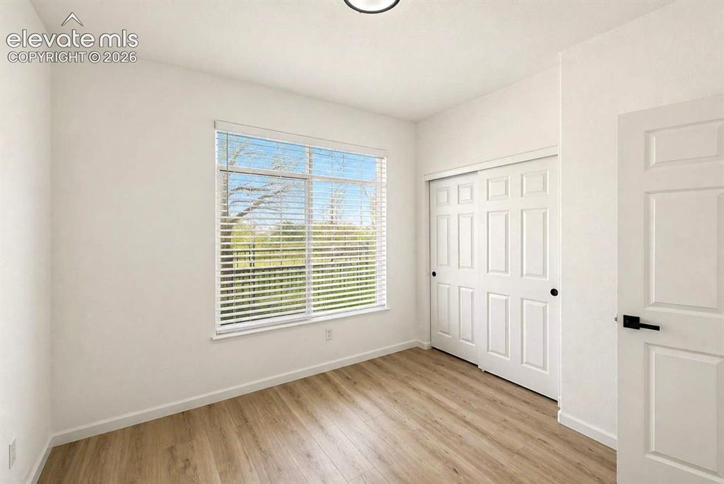 494 Black Feather Loop Castle Rock CO 80104