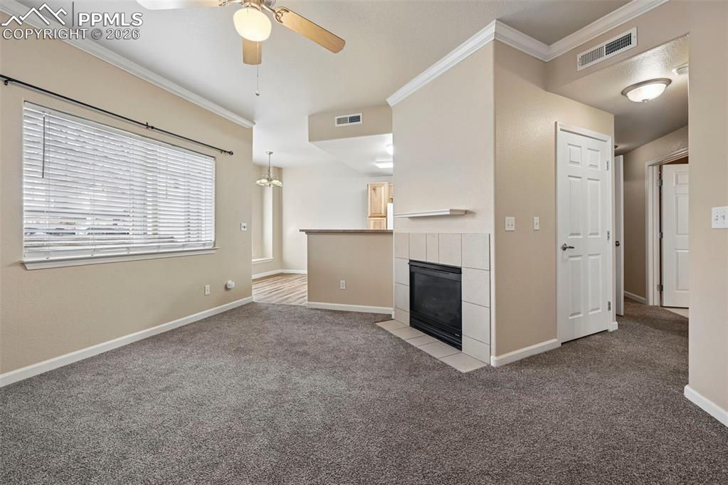 7185 Ash Creek Heights Colorado Springs CO 80922