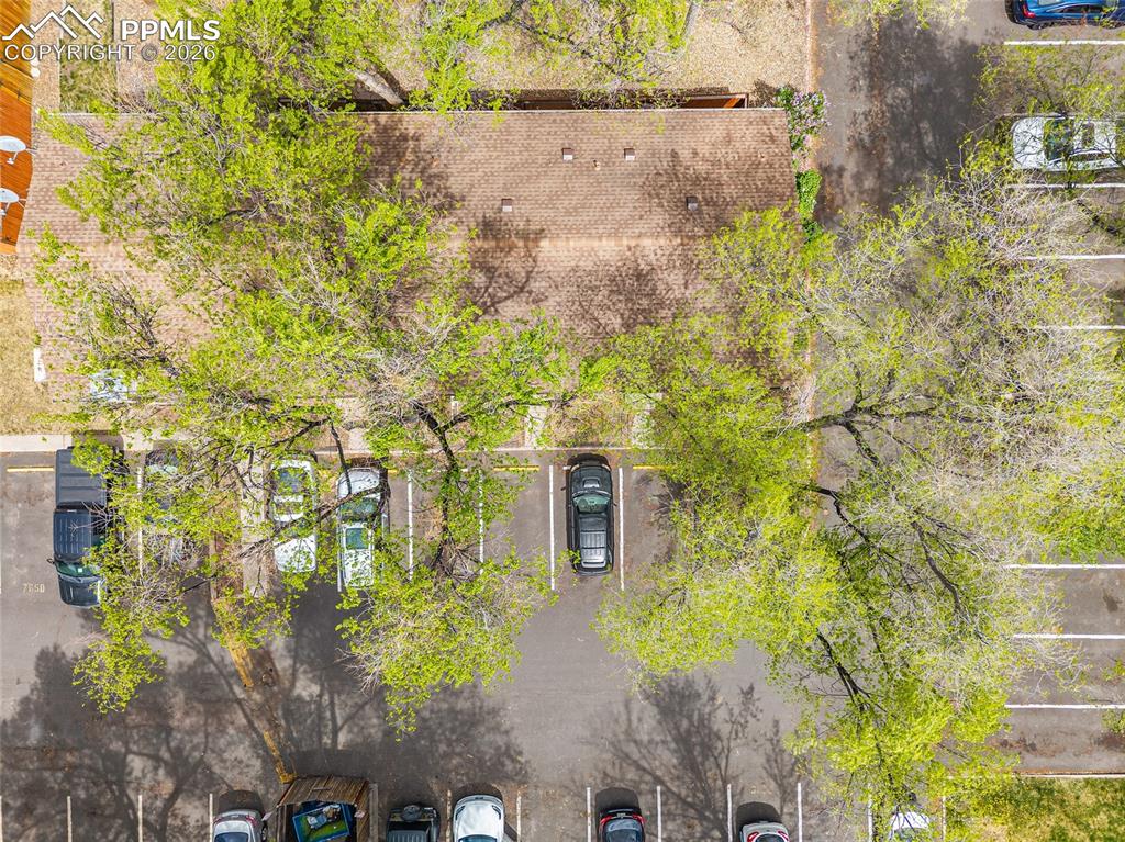 749 Alexander Road Colorado Springs CO 80909
