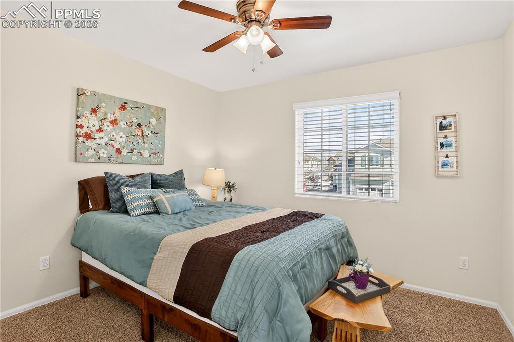 806 Red Thistle View Colorado Springs CO 80916