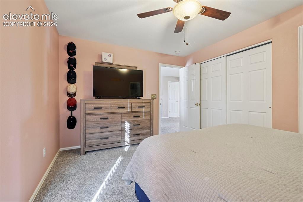339 Ellers Grove Colorado Springs CO 80916