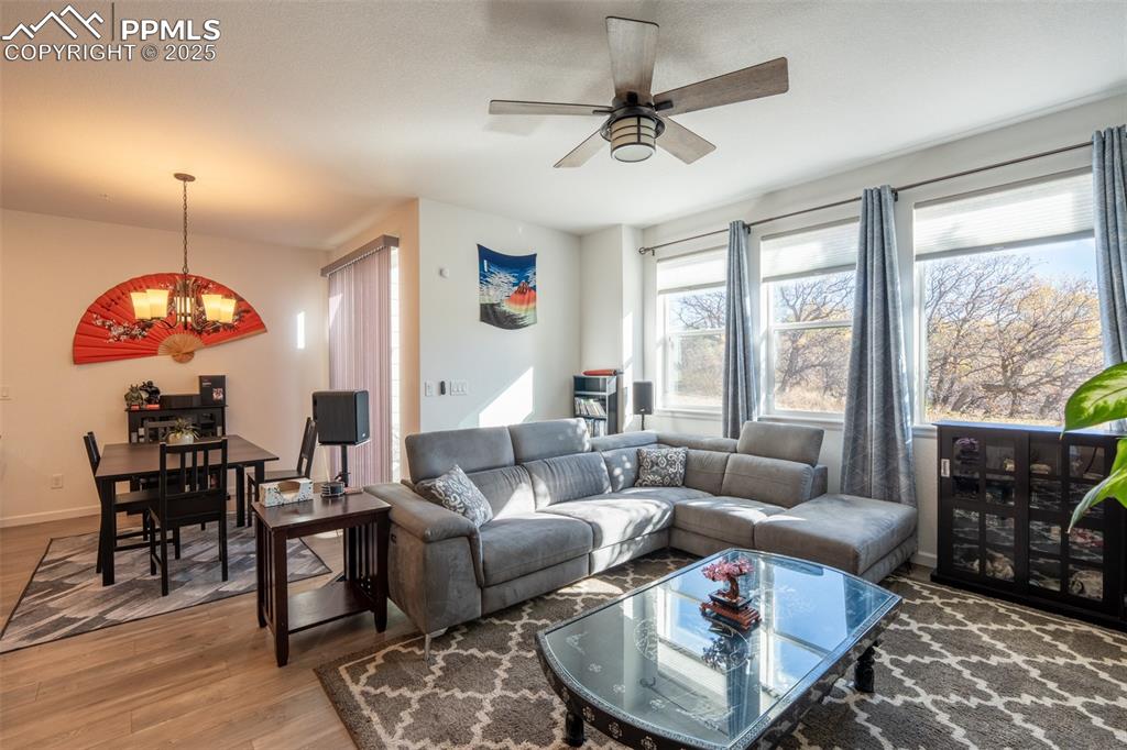 15619 Kitchener Way Monument CO 80132