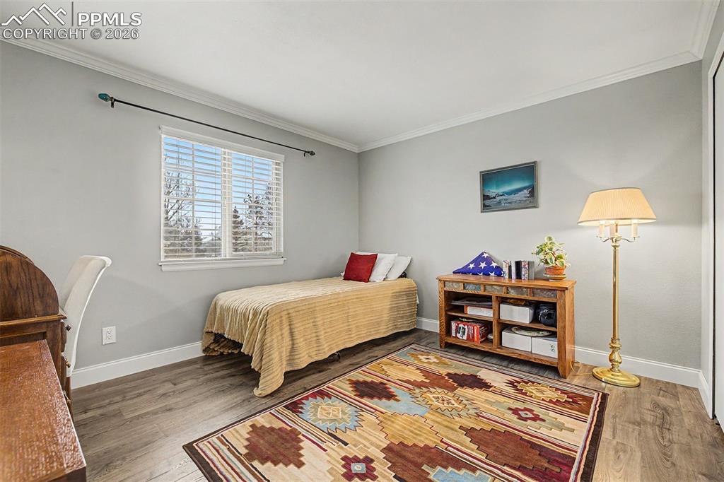 54 Rising Sun Terrace Colorado Springs CO 80921