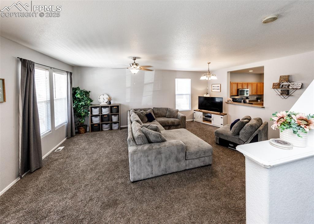2722 Tumblewood Grove Colorado Springs CO 80910