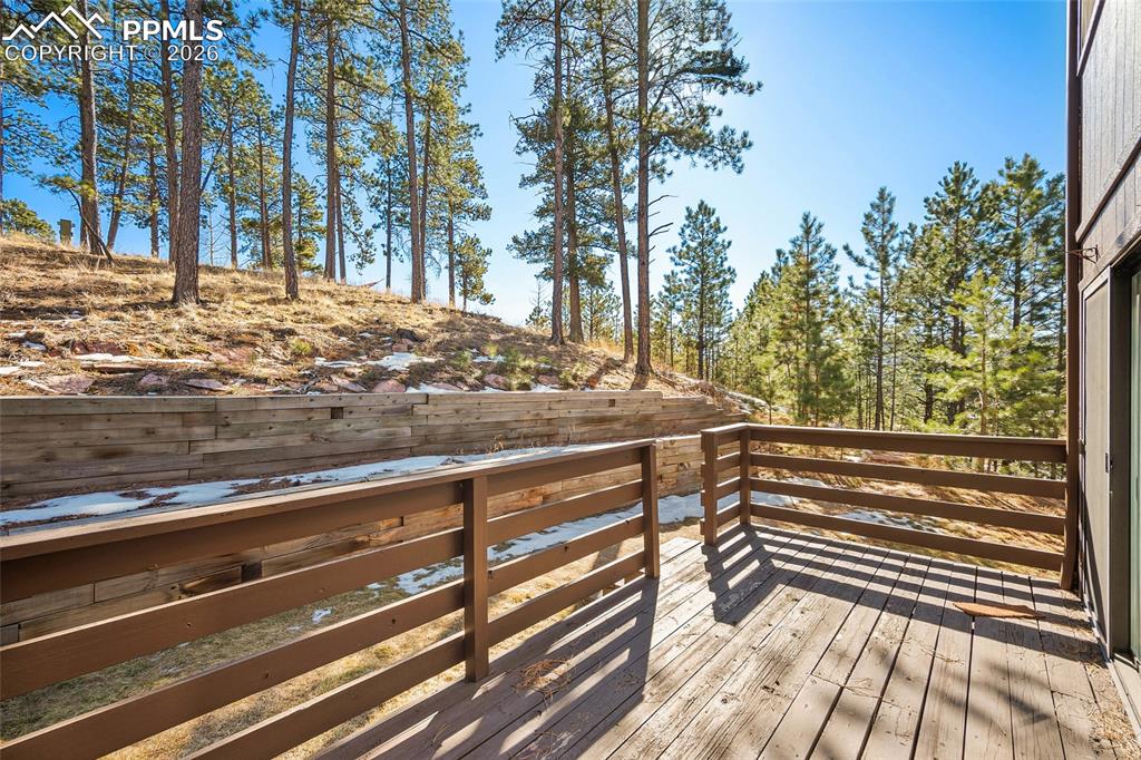 590 Manor Court Woodland Park CO 80863