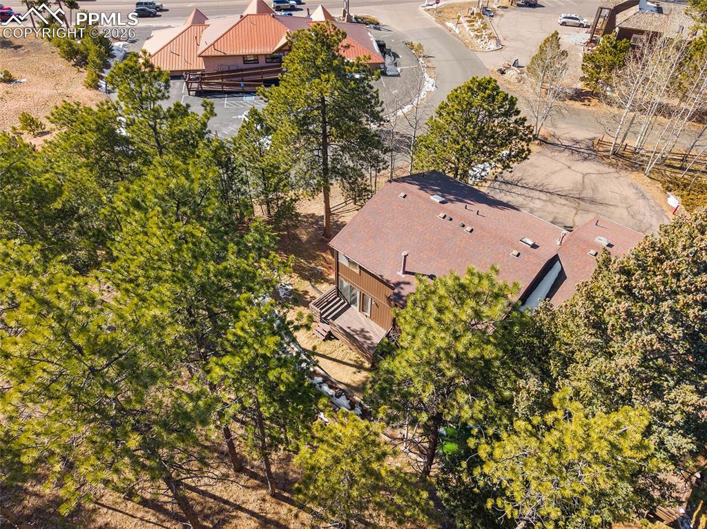590 Manor Court Woodland Park CO 80863