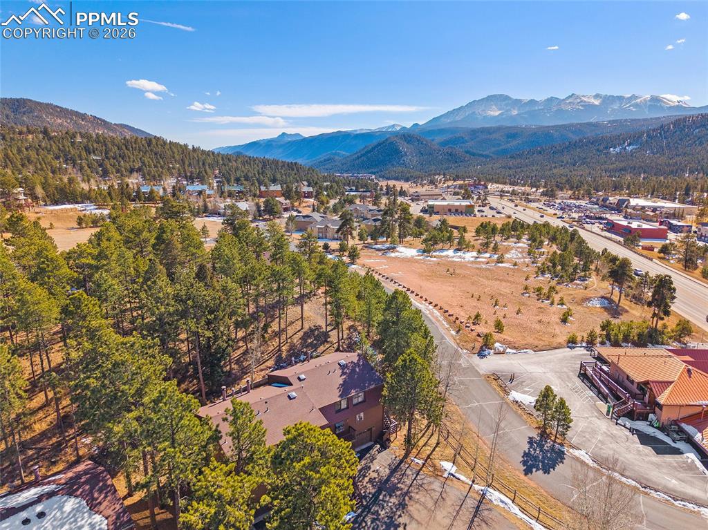 590 Manor Court Woodland Park CO 80863