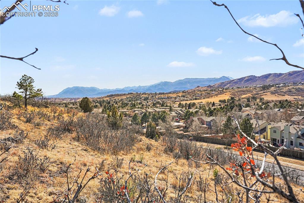 6973 Yellowpine Drive Colorado Springs CO 80919