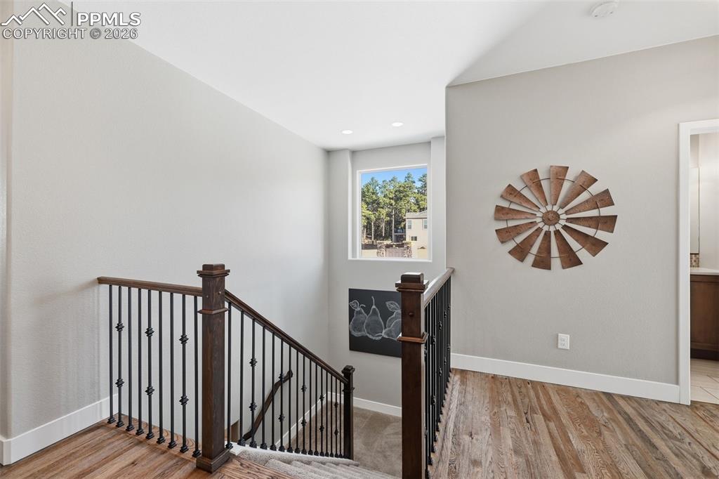 16496 Woodward Terrace Monument CO 80132