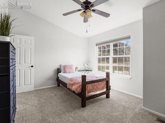 74 Vale Circle Palmer Lake CO 80133