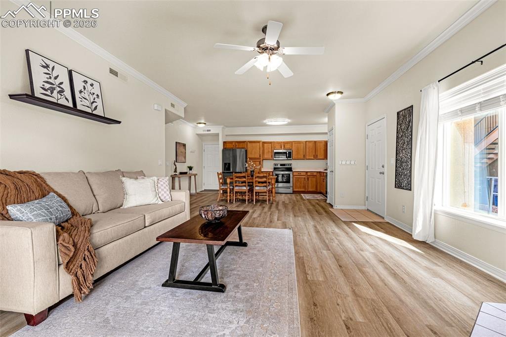4888 Kerry Lynn View Colorado Springs CO 80922