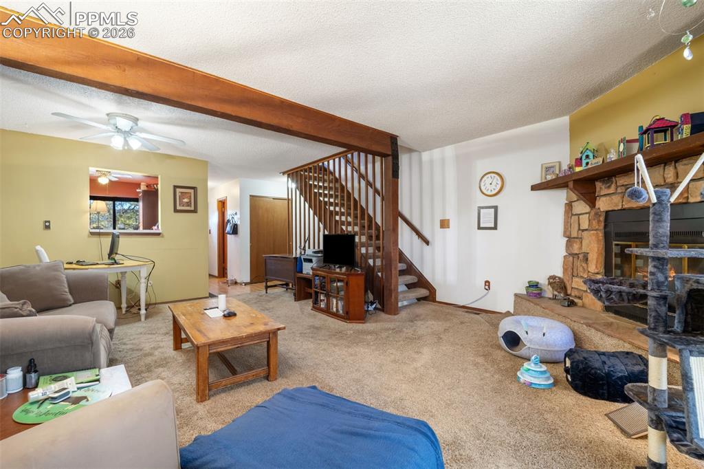 554 Manor Court Woodland Park CO 80863