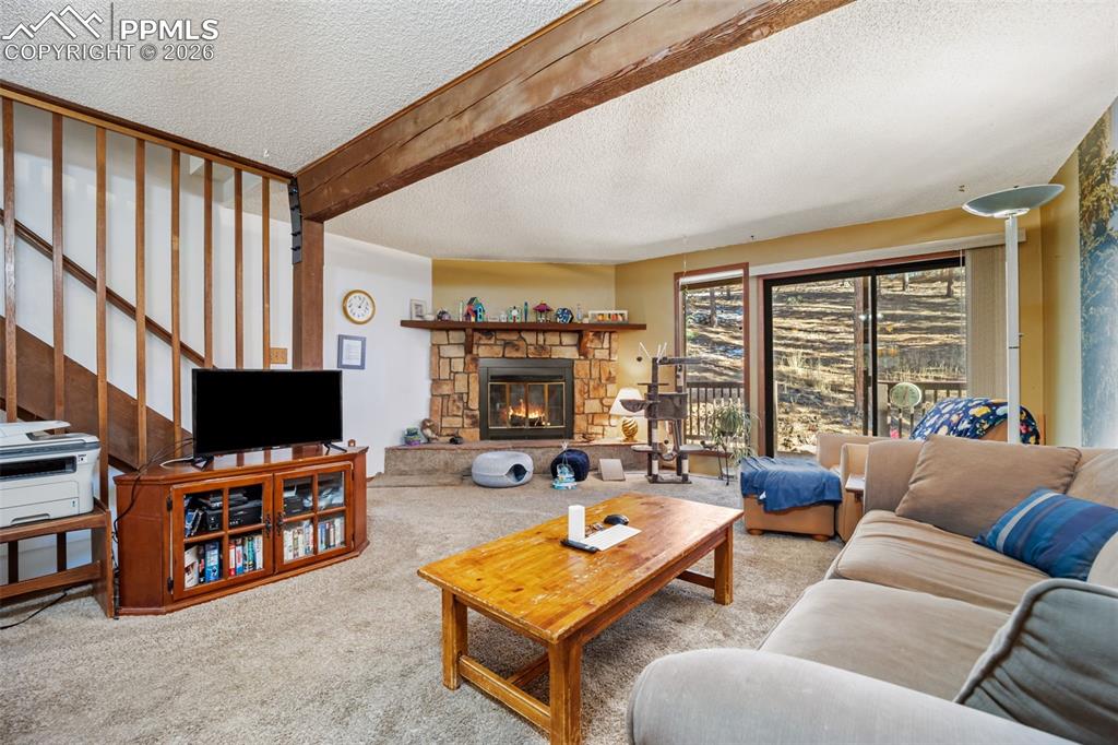 554 Manor Court Woodland Park CO 80863