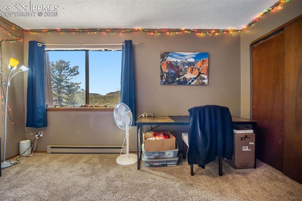 554 Manor Court Woodland Park CO 80863