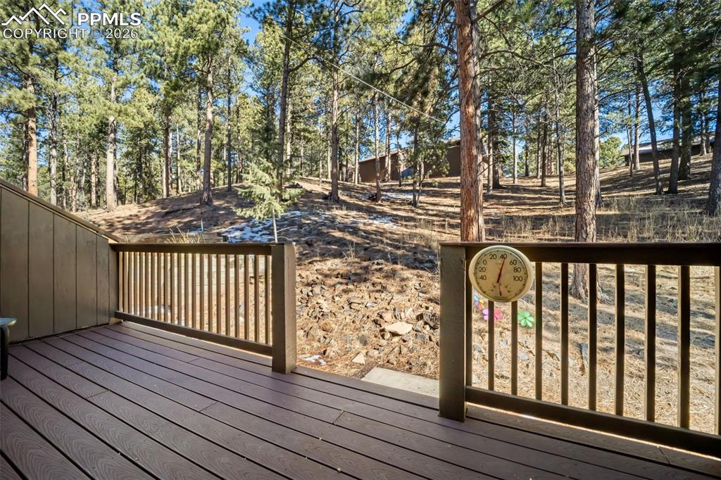 554 Manor Court Woodland Park CO 80863