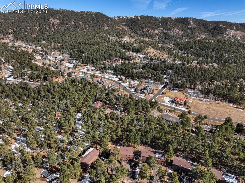 554 Manor Court Woodland Park CO 80863