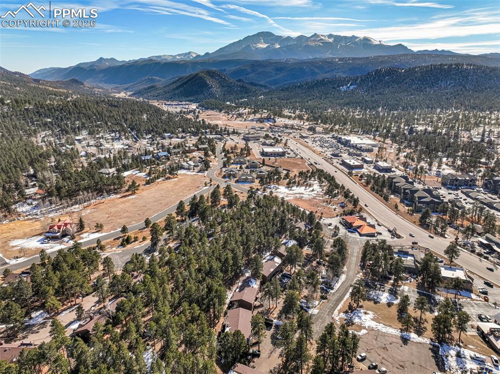 554 Manor Court Woodland Park CO 80863