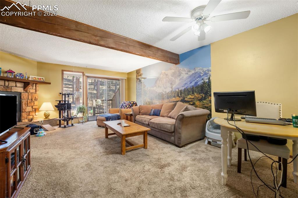 554 Manor Court Woodland Park CO 80863