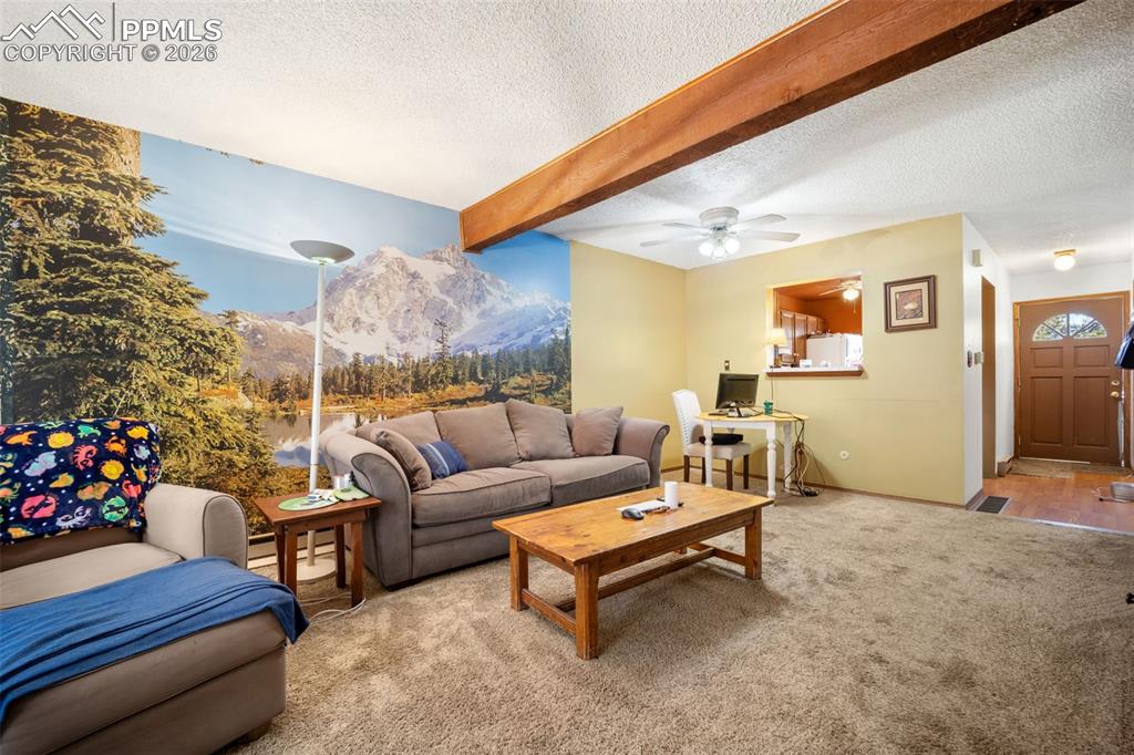 554 Manor Court Woodland Park CO 80863