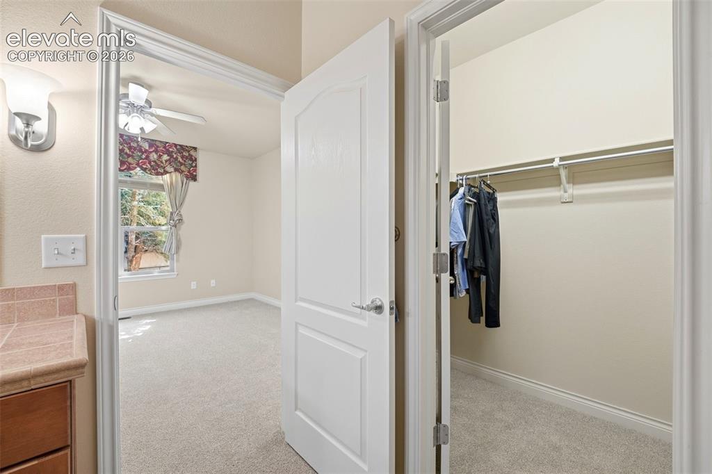 4580 Scarlet Drive Colorado Springs CO 80920