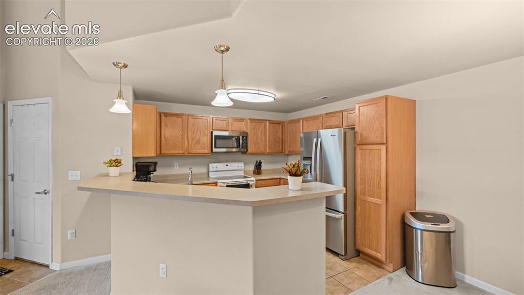 605 Cougar Bluff Point Colorado Springs CO 80906