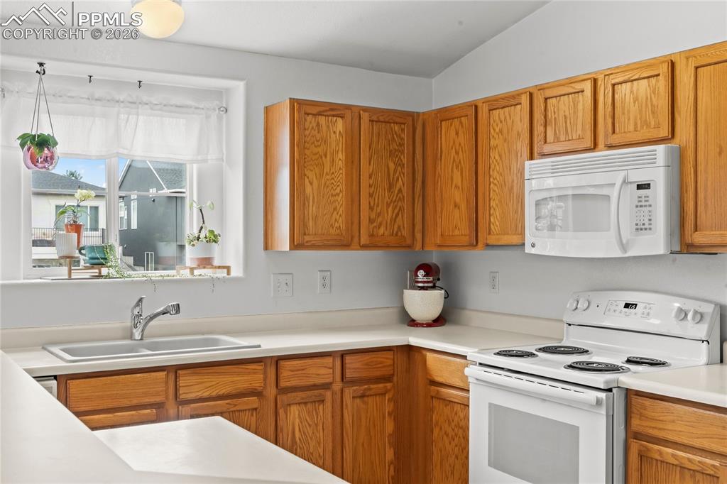3976 Riviera Grove Colorado Springs CO 80922
