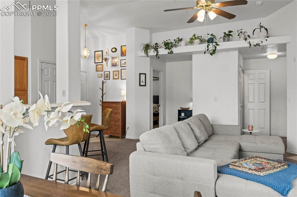 3976 Riviera Grove Colorado Springs CO 80922