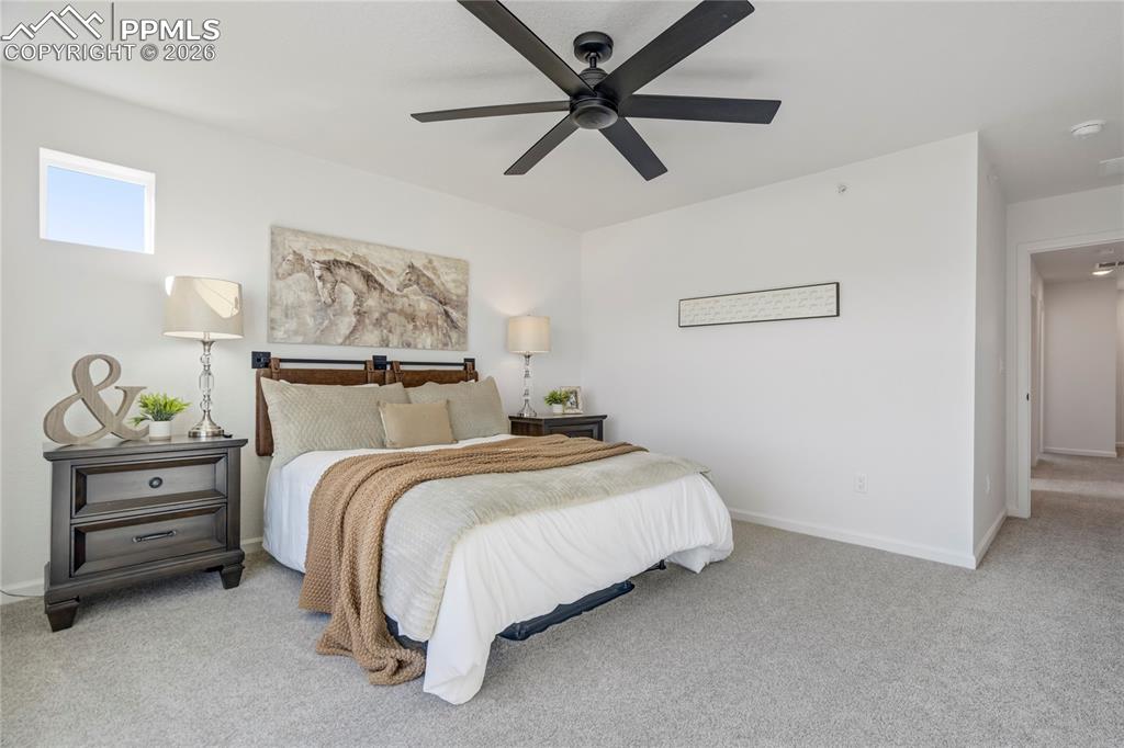 897 Beckton Heights Colorado Springs CO 80907