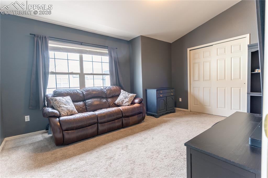 43 Vale Circle Palmer Lake CO 80133