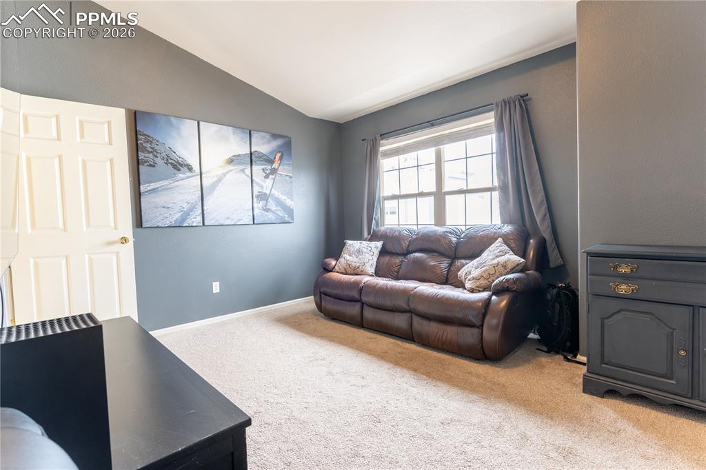 43 Vale Circle Palmer Lake CO 80133